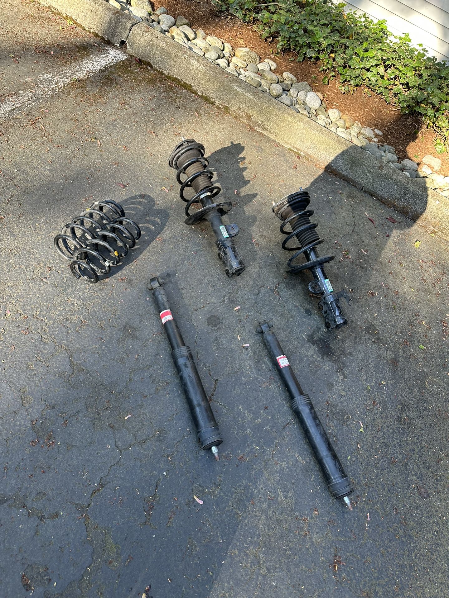 2011-2018 Scion Tc2-2.5 Stock Suspension Struts & Springs