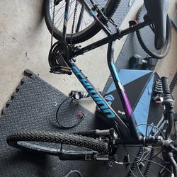 Schwinn 26 Series Mountain bike