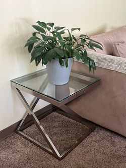 Glass Table (Plant included!)