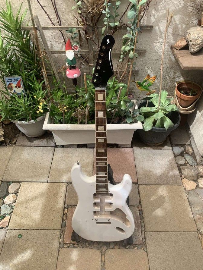 Project Guitar Neck And Body 