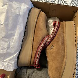 Ugg sleppers "Taz ll"