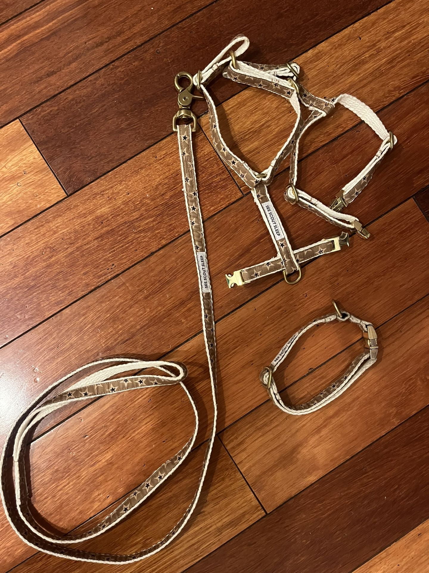 Dog Harness, Leash and Collar For Small Dog