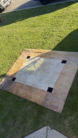 Stunning Multi-Tone Tan/Brown Area Rug with Bold Contrast Border