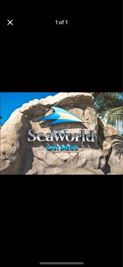 Sea world tickets