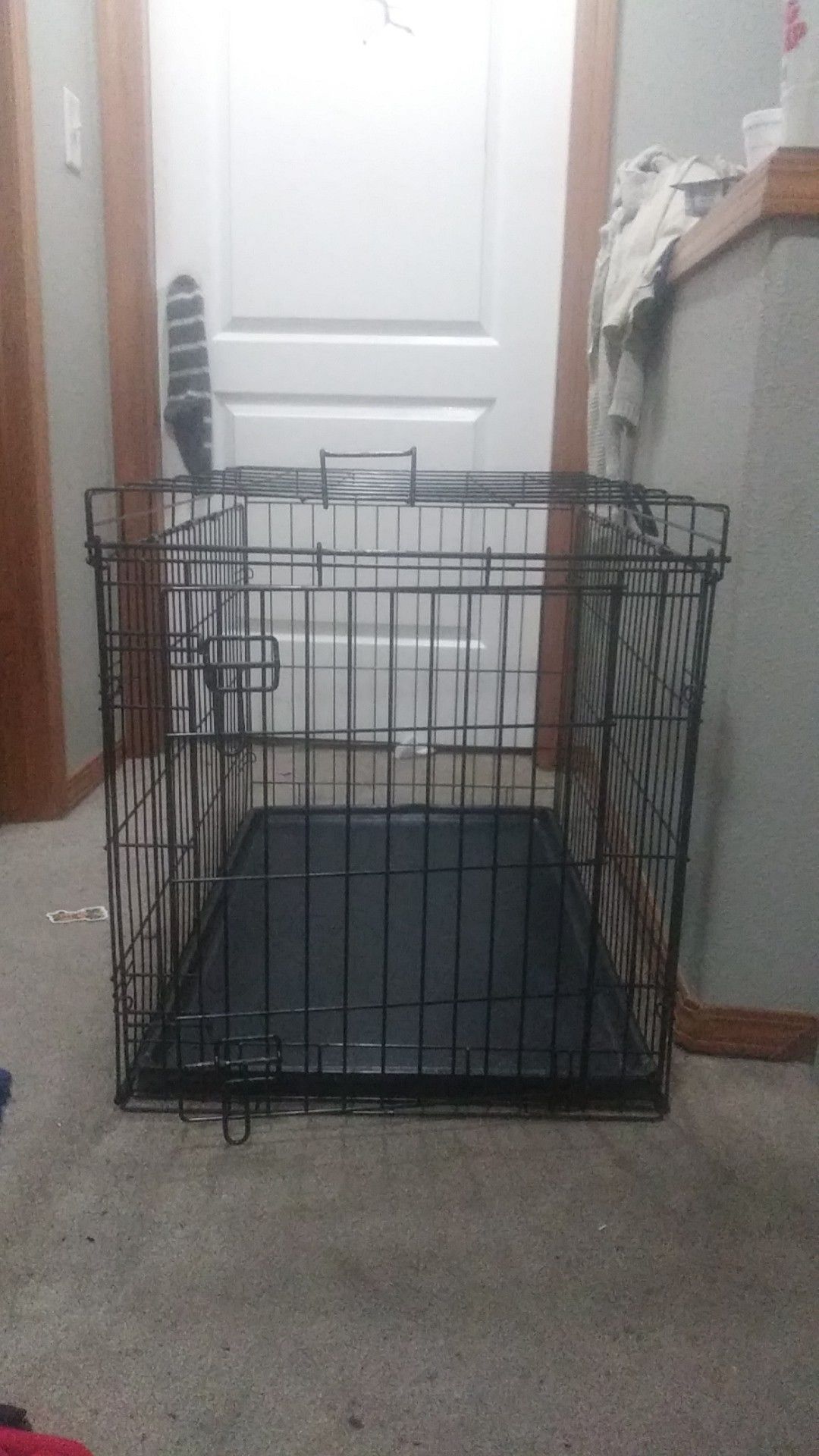 Dog kennel... Very clean!