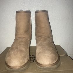 Ugg boots 