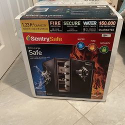 Sentry Safe 