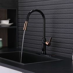 Black Pull Down Single Handle Kitchen Faucet(Part number:TGT-050BG-D)