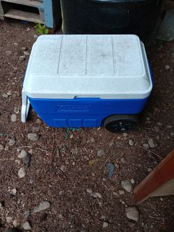 Cooler
