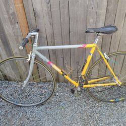 1988 vintage Raleigh Scott Tinley Tri-lite technium triathlon bicycle 50cm 20 in
