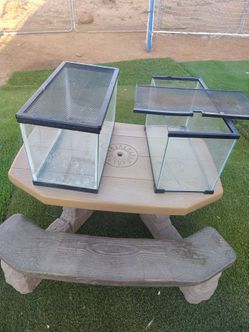 2 small reptile tanks