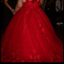 Gorgeous Red Quinceañera Dress - XL - Like New!