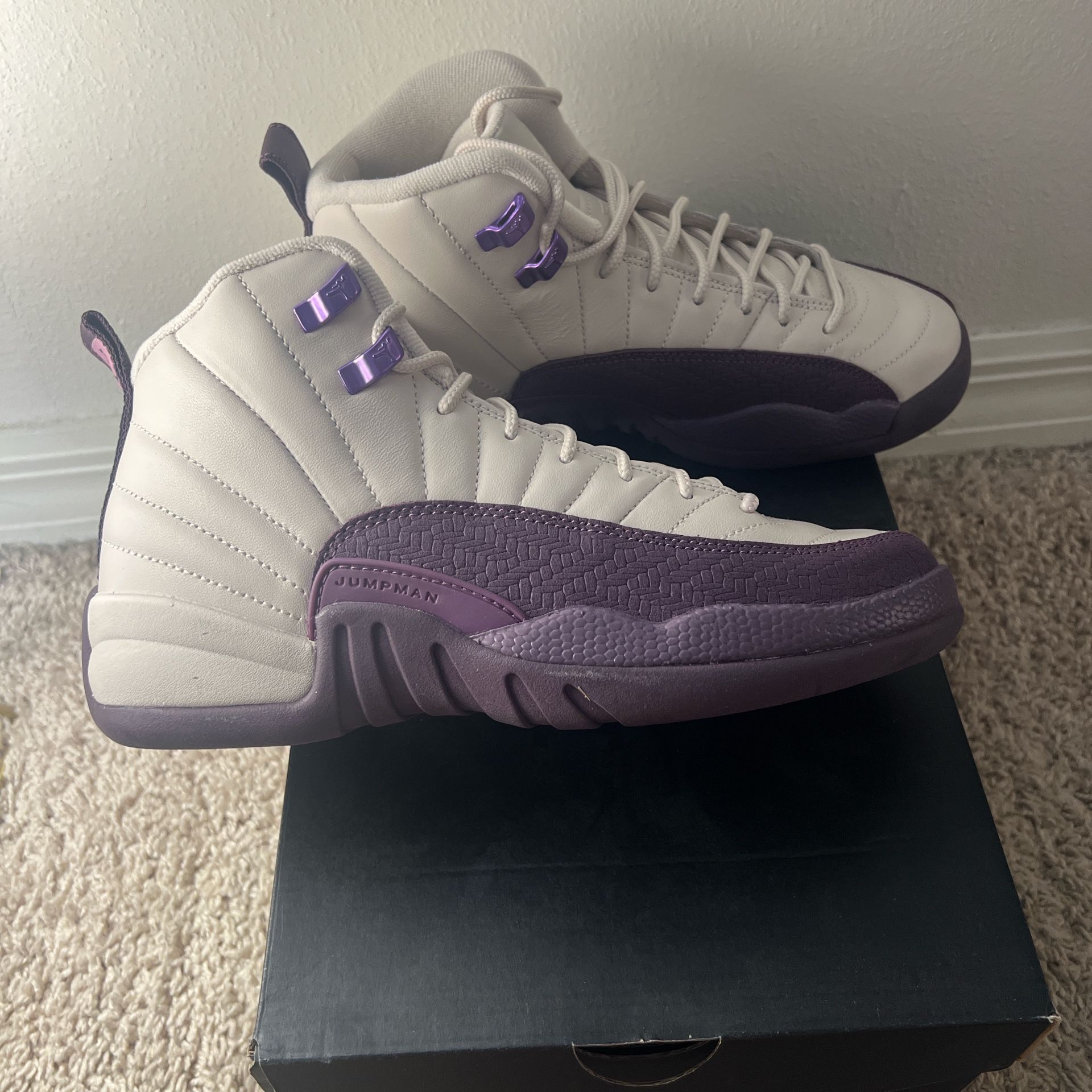 Air Jordan 12 Retro