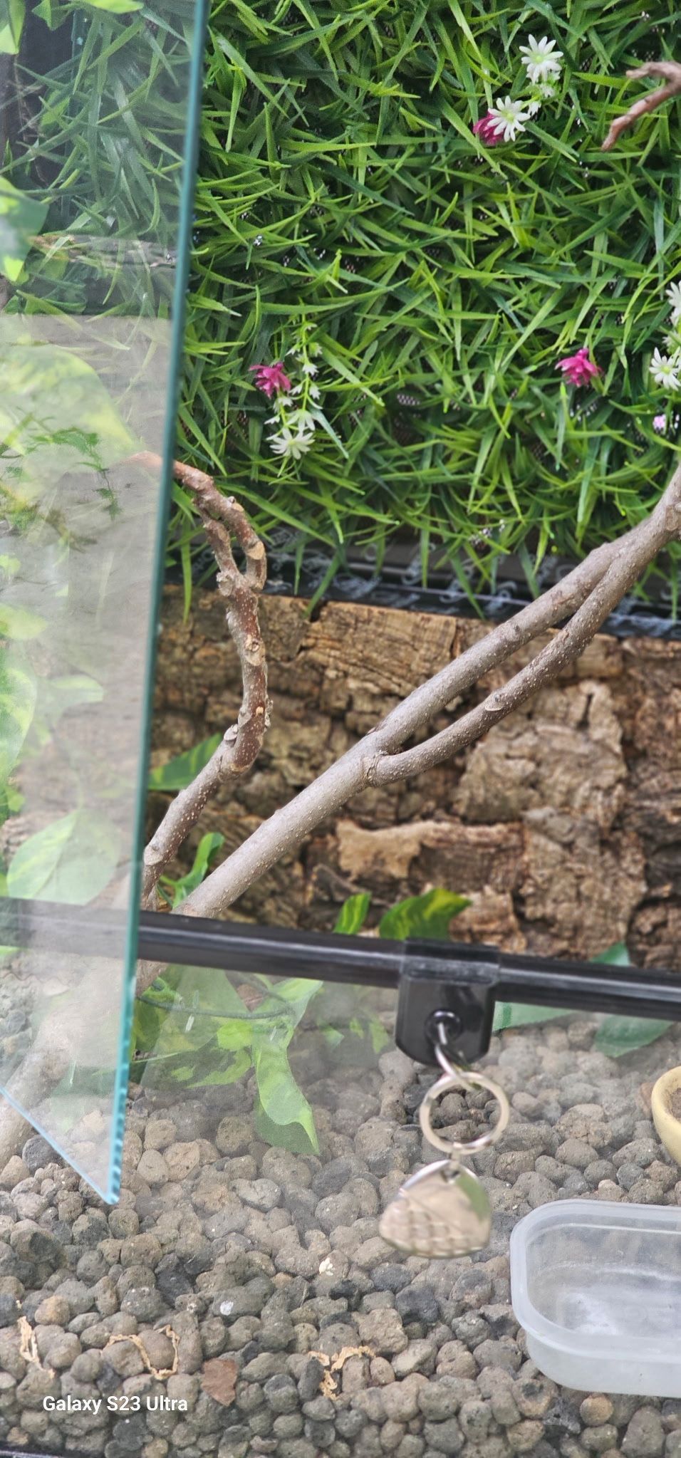 REPTI ZOO Enclosure