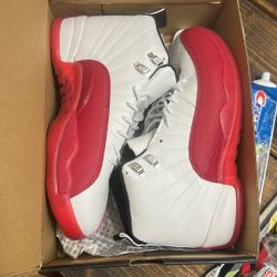 Air Jordan 12s