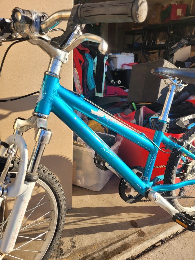 Schwinn Bike