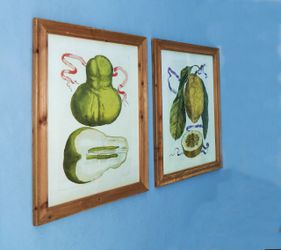 New - Near New Pair of Framed Glass Prints of Pear and Lemon
