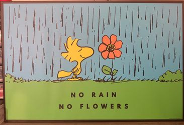 Cuadro decorativo snoopy/ Woodstock
