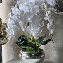 White Orchids ! Flores Blancas ! Decoraciones De Casa 