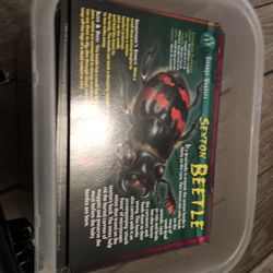 Weird & wild Creatures Cards