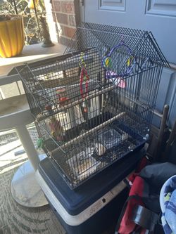 Bird Cage with everything all the toys water  food dish perch and cuddle bone ready for your bird to move in $75 all of this stuff cost $150+ at Pe