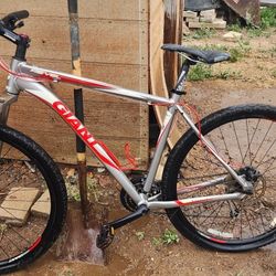 Giant 29er Mountain Bike