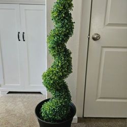 Spiral Topiary Plant Decor 