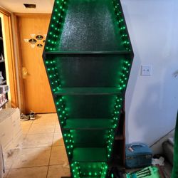 Lighted Coffin Book Case 