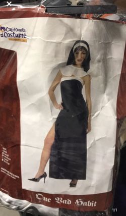 Halloween costume Lady’s Large $15 OBO