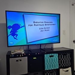 55 inch LG Flat Screen TV
