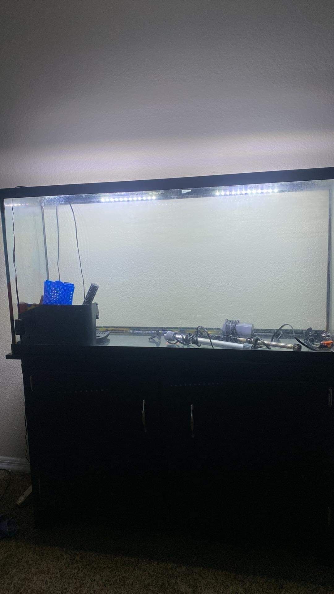 Fish Tank 60 Gallon