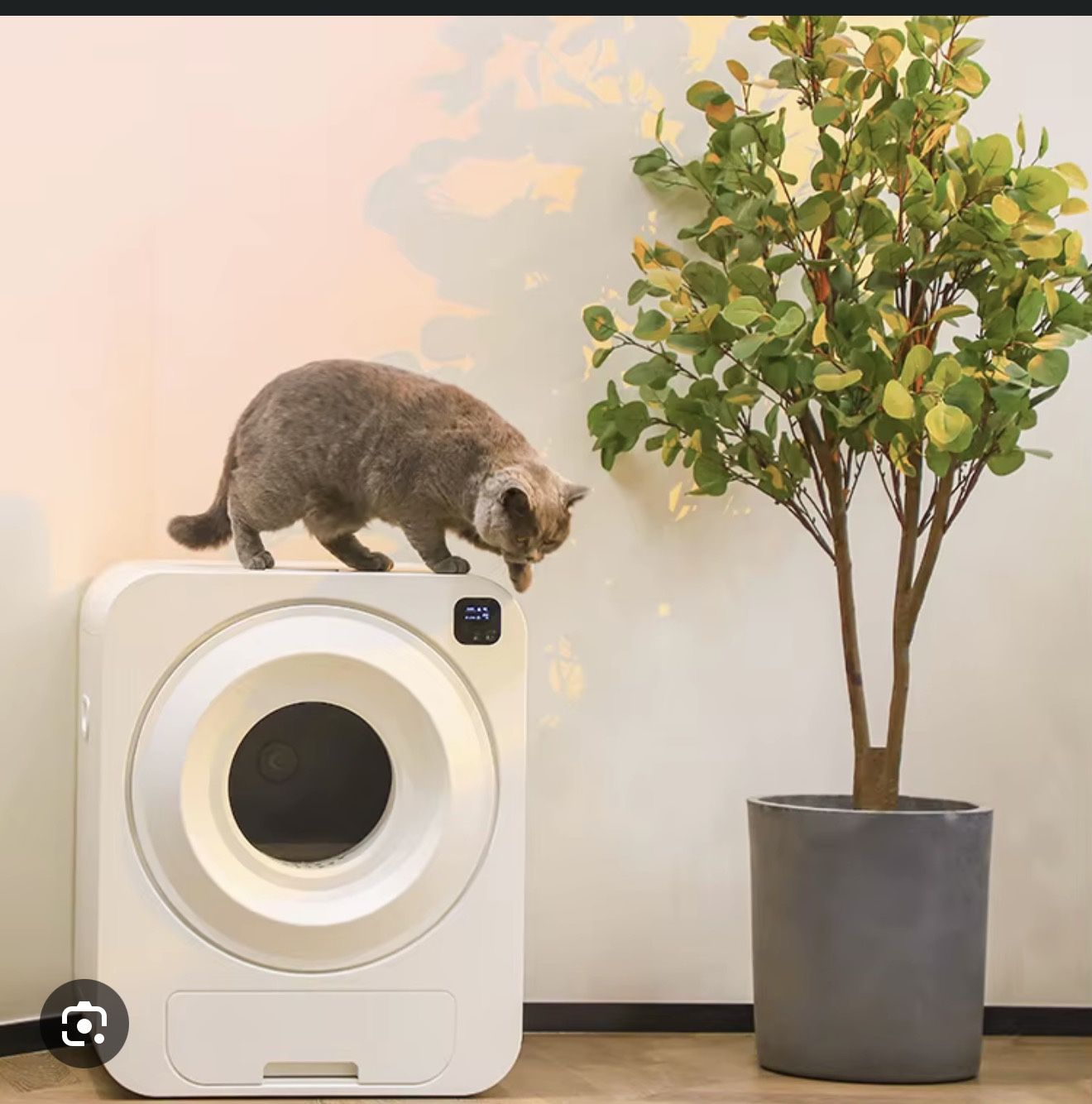 Automatic Cat Litter