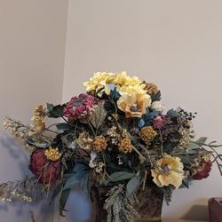 Flower / Green Plants for inside house 