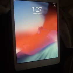 iPad Mini 2