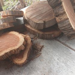 Wood Slices And More 