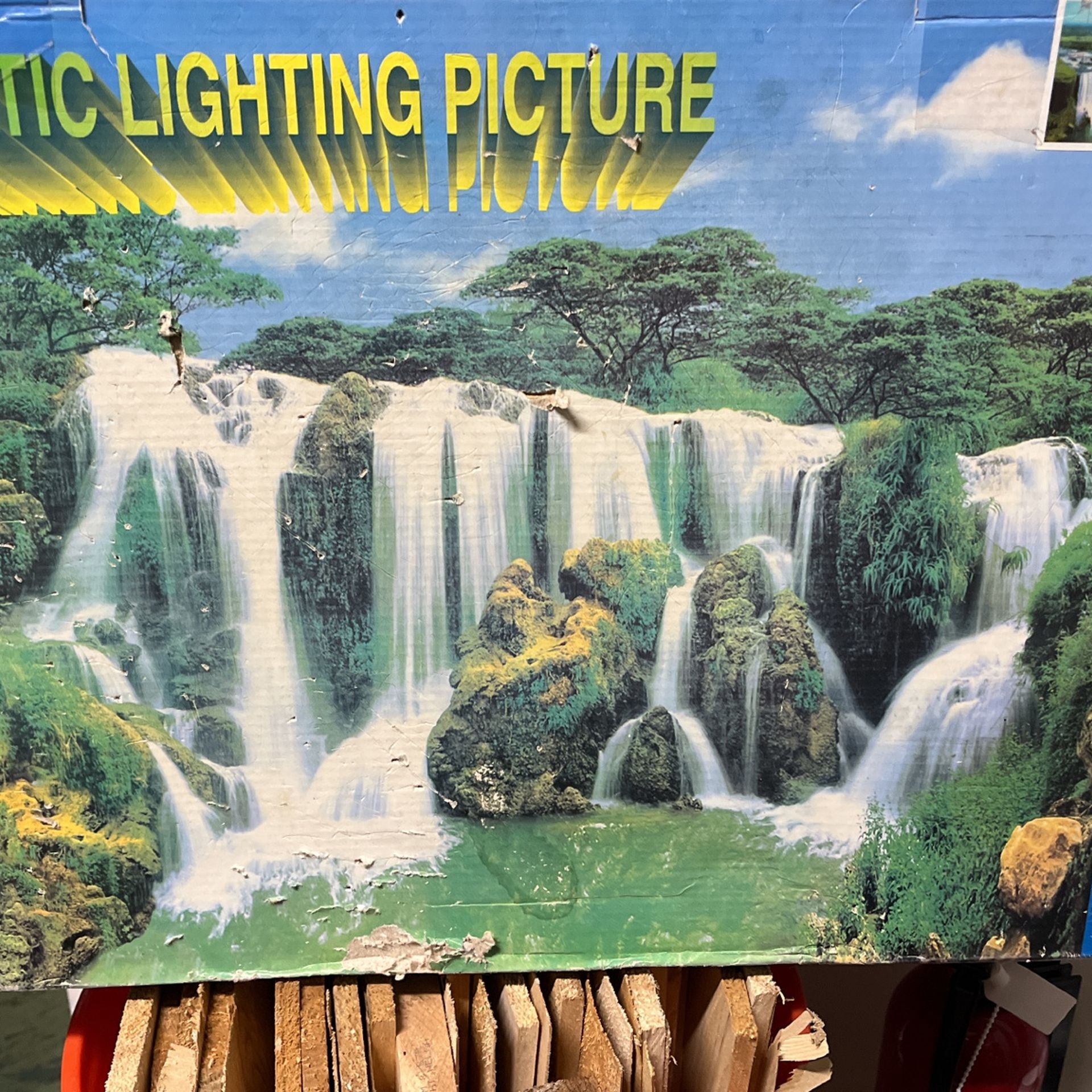 Light Picture
