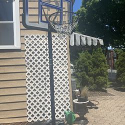 Lifetime Basketball adjustable hoop