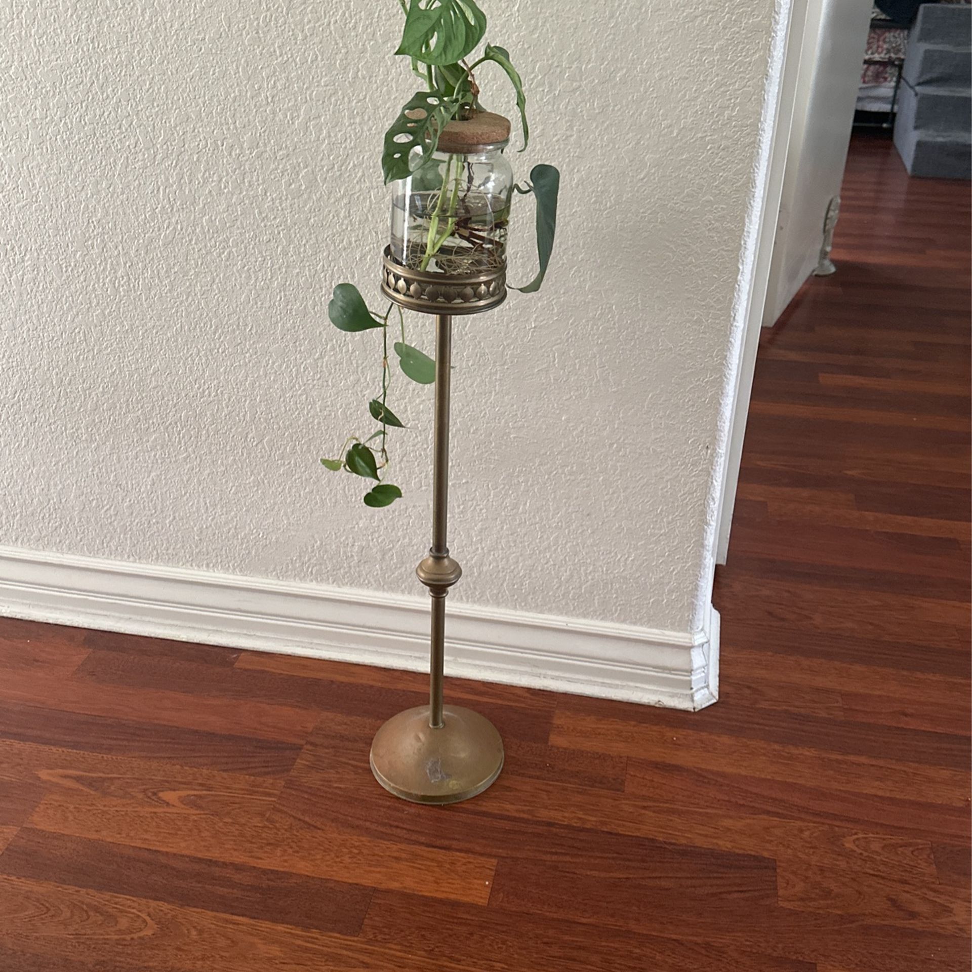 Unique Brass Plant Holder