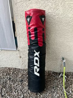 Rex punching bag