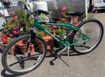 Mountain Bike