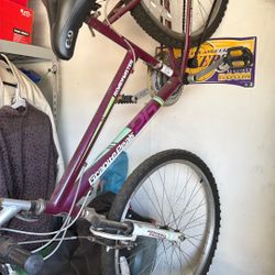 Mountain Bike 26 Purple Color Bicycle Granite Peals  Roadmaster 