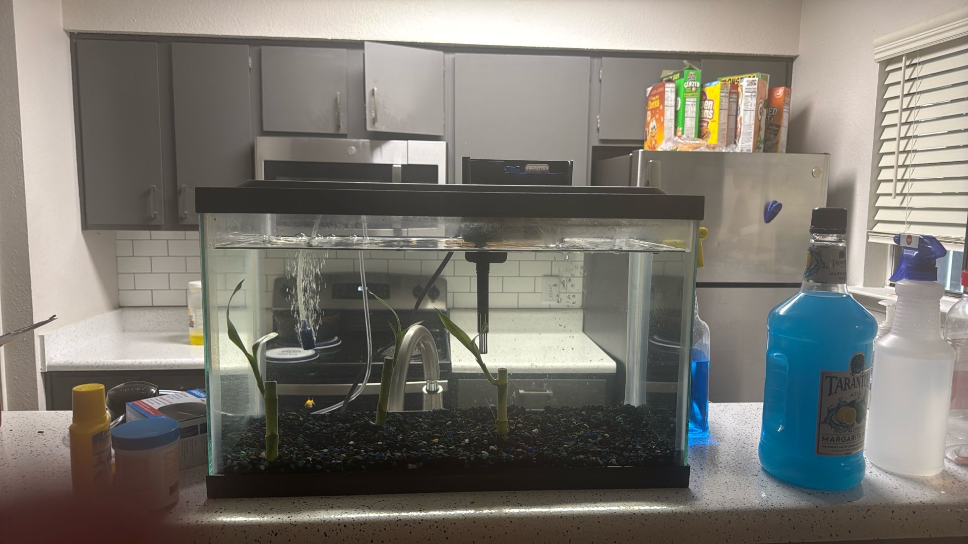Mattress Fish Tank 10g