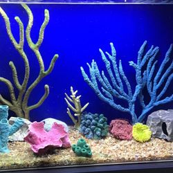 Custom Made Artificial Coral