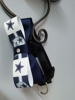 NFL dog collar bowtie with collar
