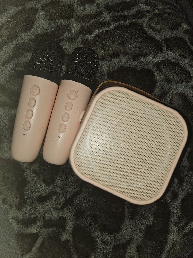 Karaoke Speaker & Microphones