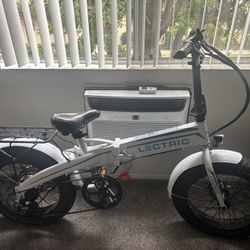 Lectric Bike