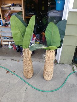 Banana Leaves And Baskets