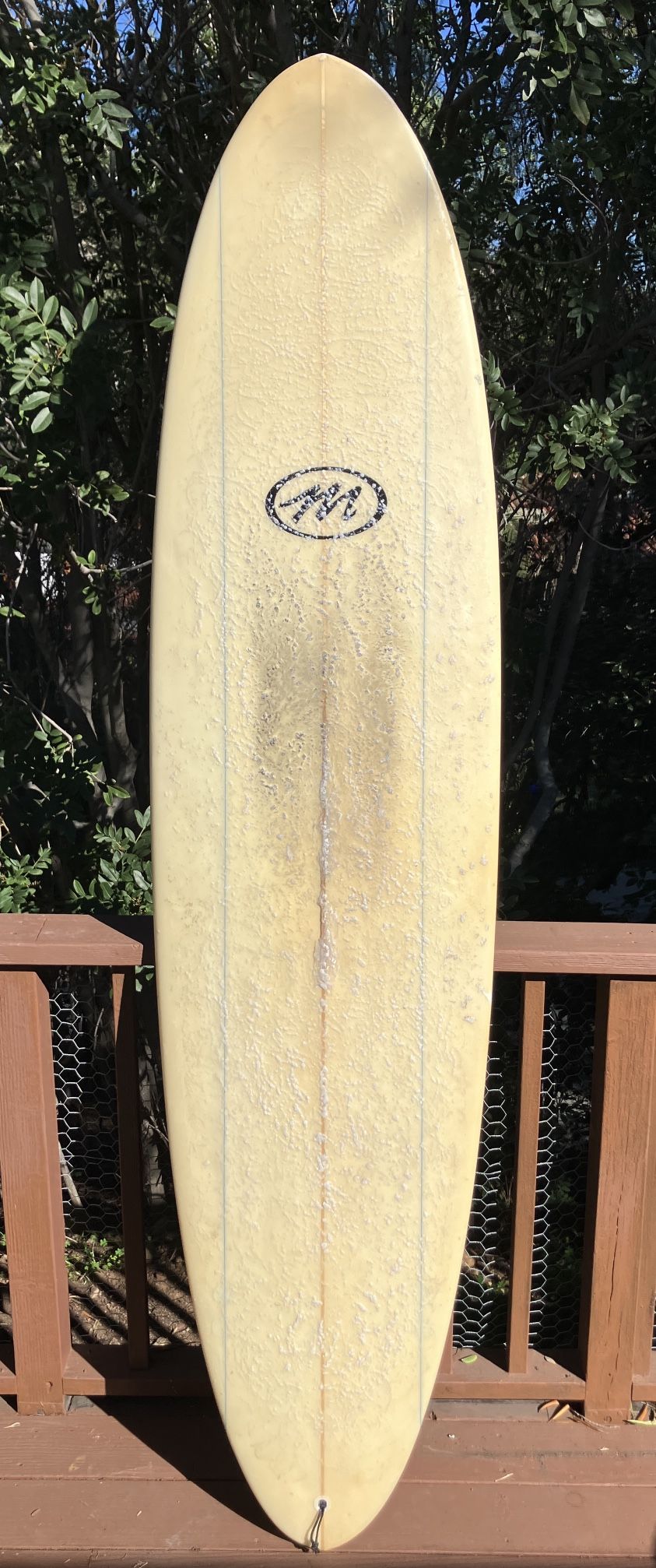 Dennis Murphy Egg Surfboard