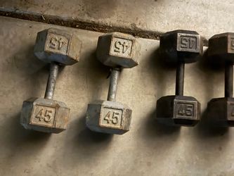 45 lb dumbbells. $1 a lb. $90 for each pair.