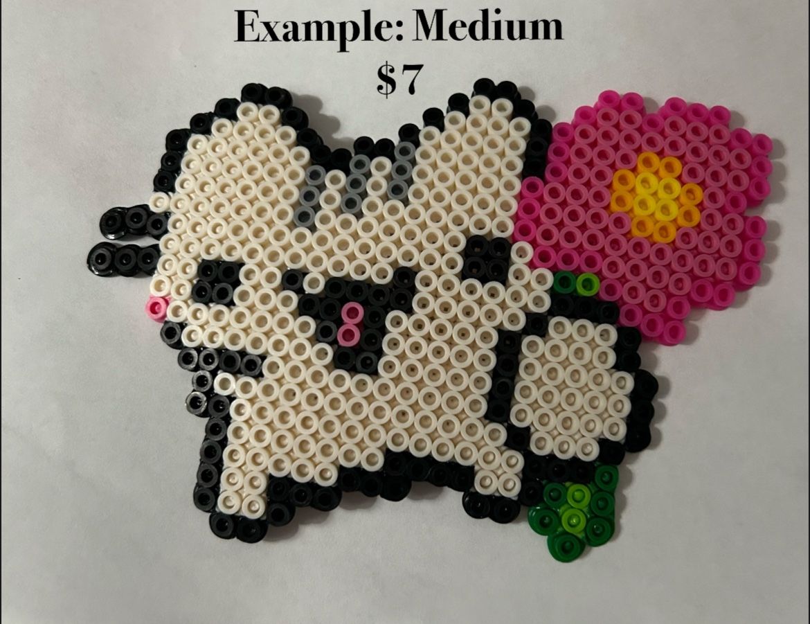Custom Perler Designs